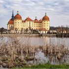 Schloß Moritzburg