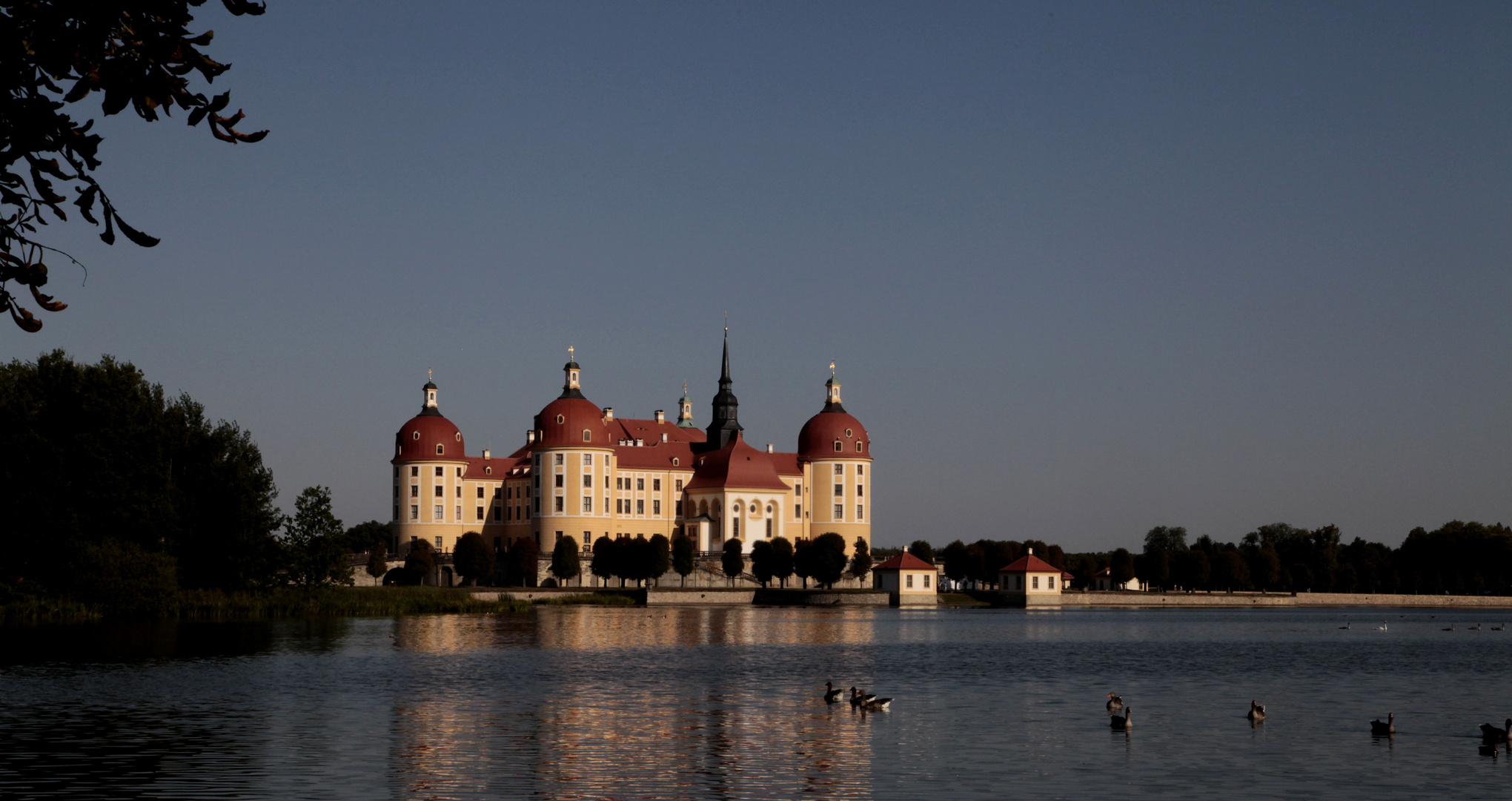 Schloss Moritzburg