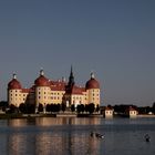 Schloss Moritzburg