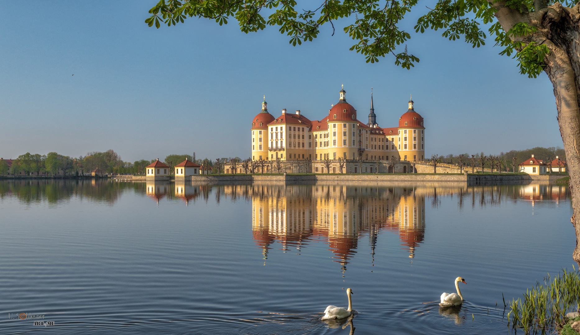 Schloss Moritzburg