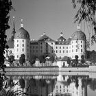 Schloss Moritzburg