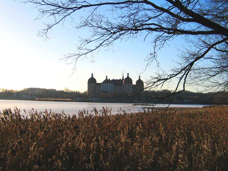 schloss moritzburg