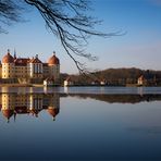 Schloss Moritzburg