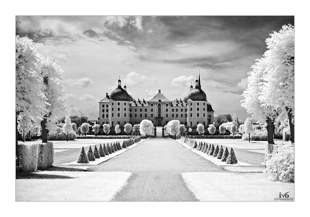 Schloss Moritzburg