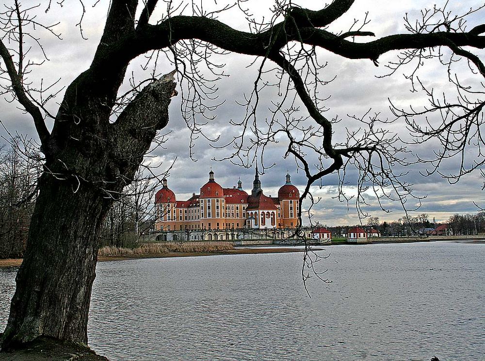 Schloss Moritzburg