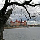 Schloss Moritzburg