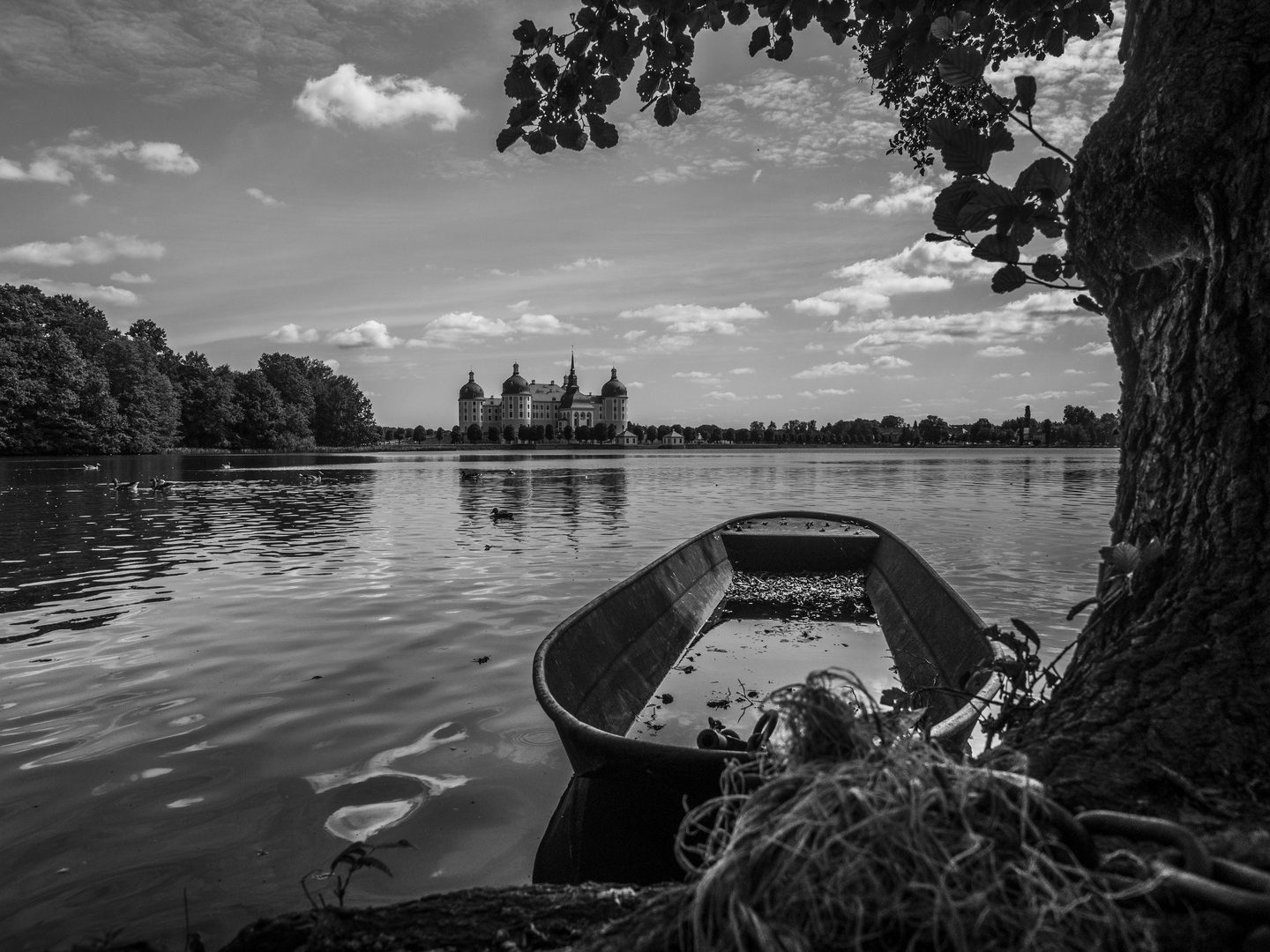 Schloss Moritzburg