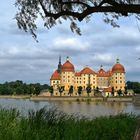 Schloß Moritzburg....