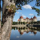 Schloss Moritzburg