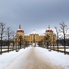 Schloss Moritzburg 