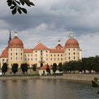 Schloss Moritzburg