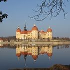 Schloss Moritzburg