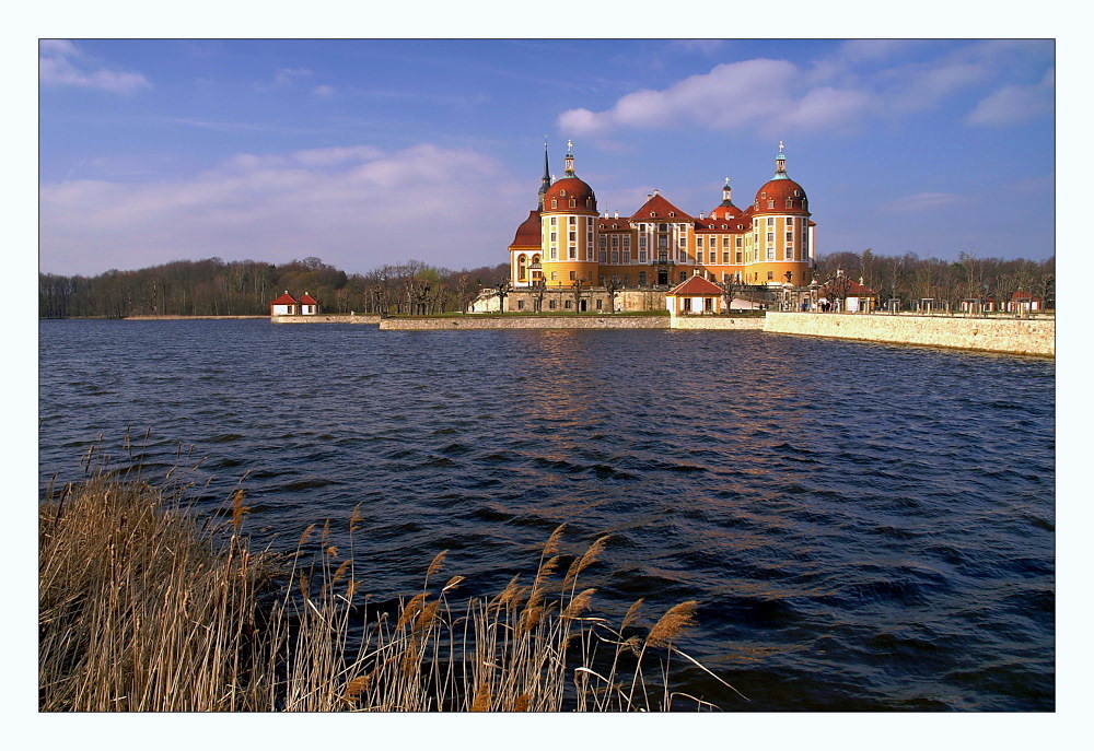 - Schloss Moritzburg -
