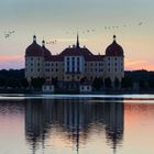 Schloss Moritzburg am Abend