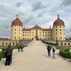 Schloss Moritzburg