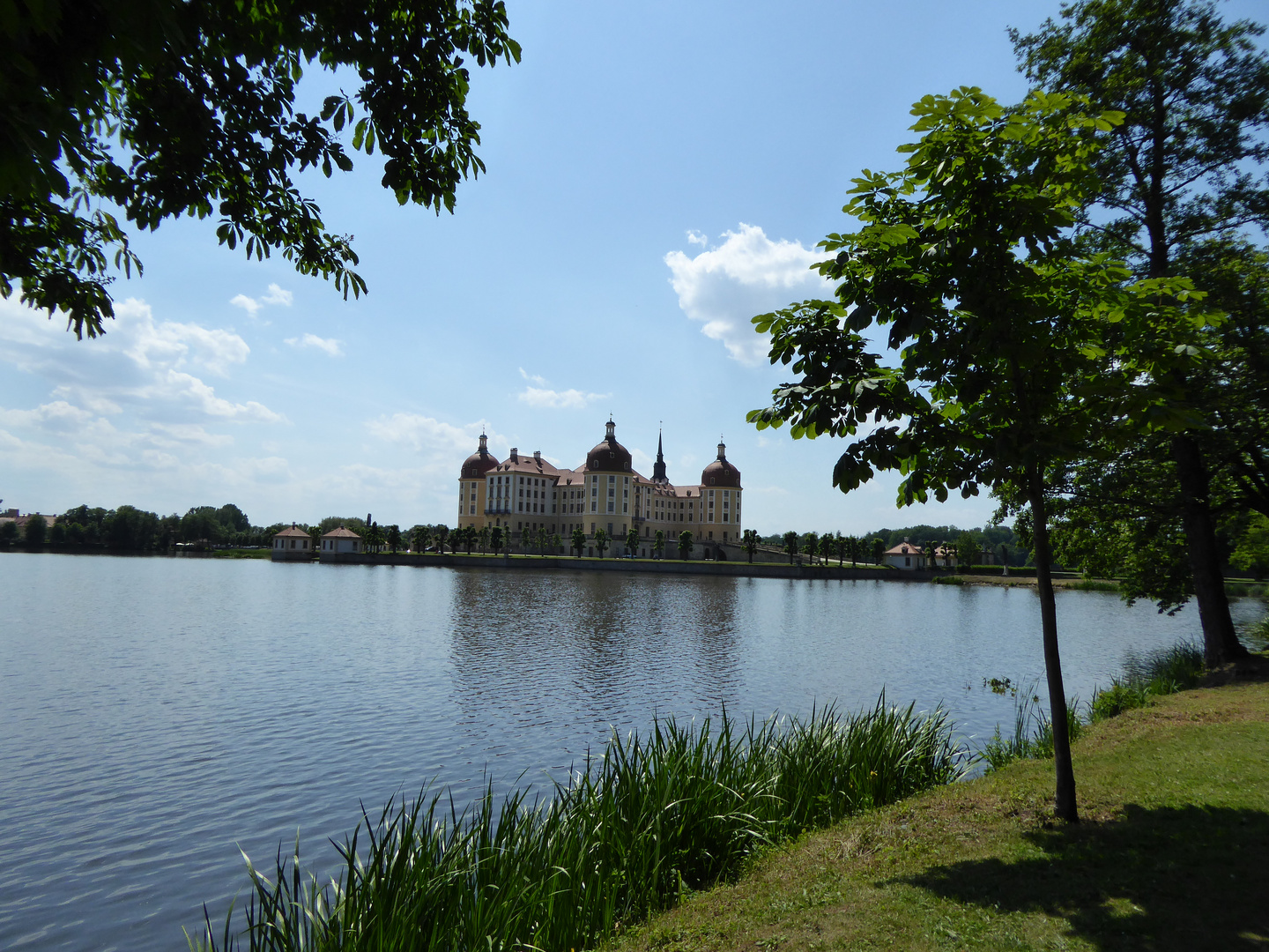 Schloss Moritzburg bei Dresden