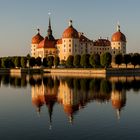 Schloss Moritzburg bei Dresden