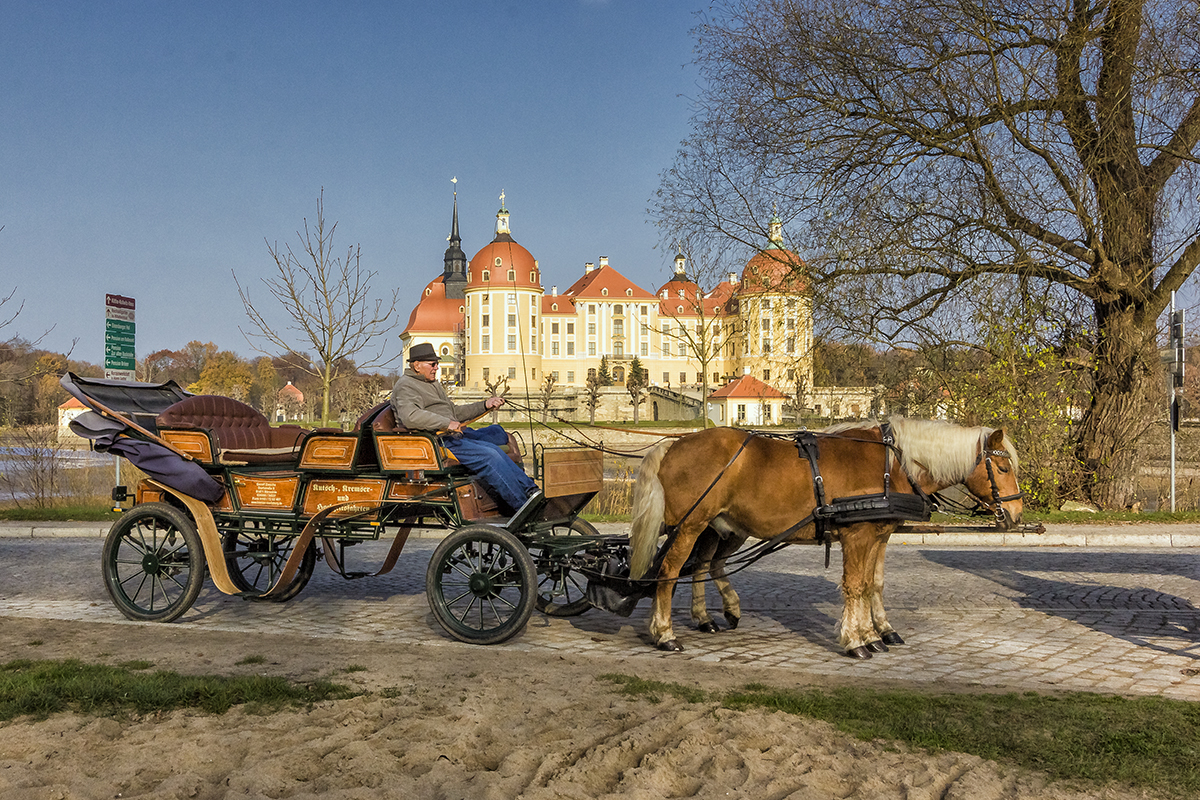 Schloss Moritzburg bei Dresden