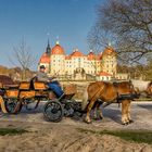 Schloss Moritzburg bei Dresden