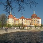 Schloss Moritzburg bei Sonnenschein