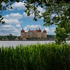 Schloss Moritzburg