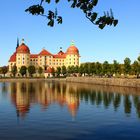 Schloss Moritzburg