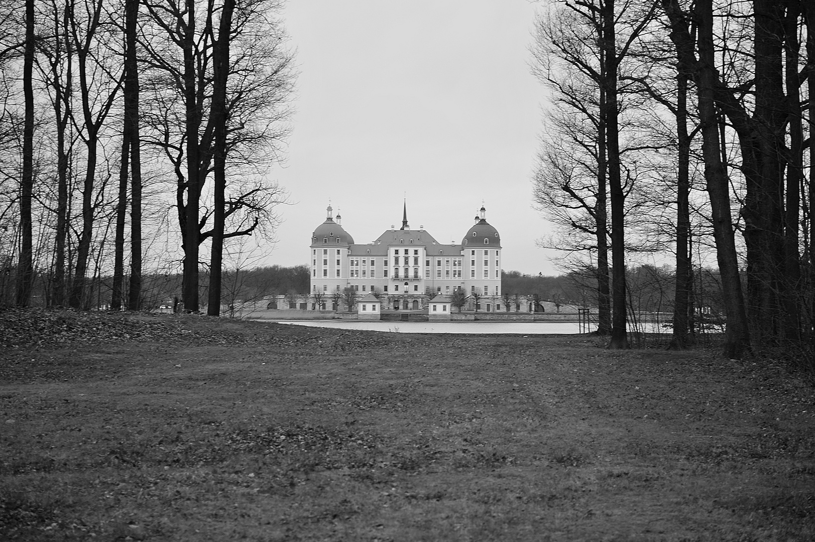 Schloss Moritzburg