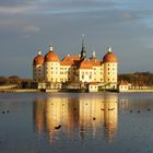 Schloß Moritzburg