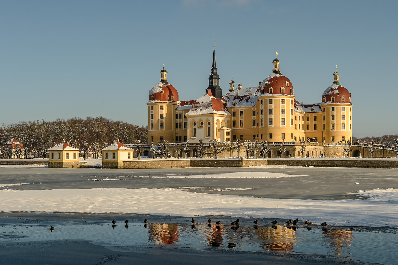 Schloss Moritzburg