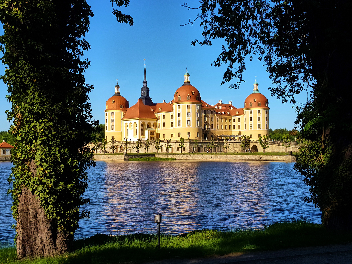 Schloss Moritzburg