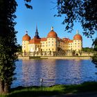 Schloss Moritzburg