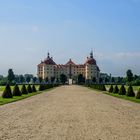 Schloss Moritzburg