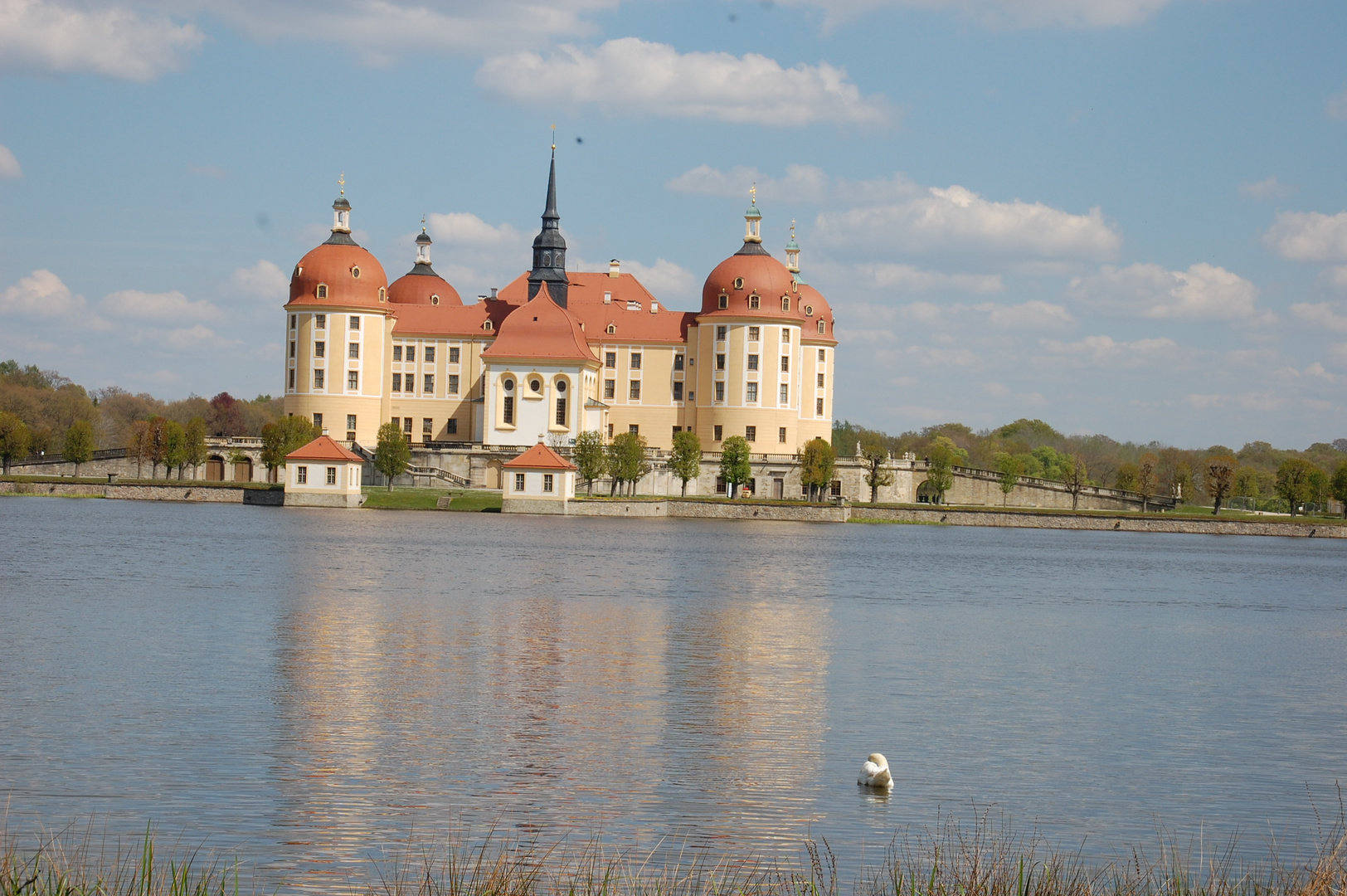 Schloss Moritzburg