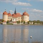 Schloss Moritzburg