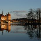 Schloss Moritzburg