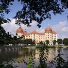 Schloss Moritzburg