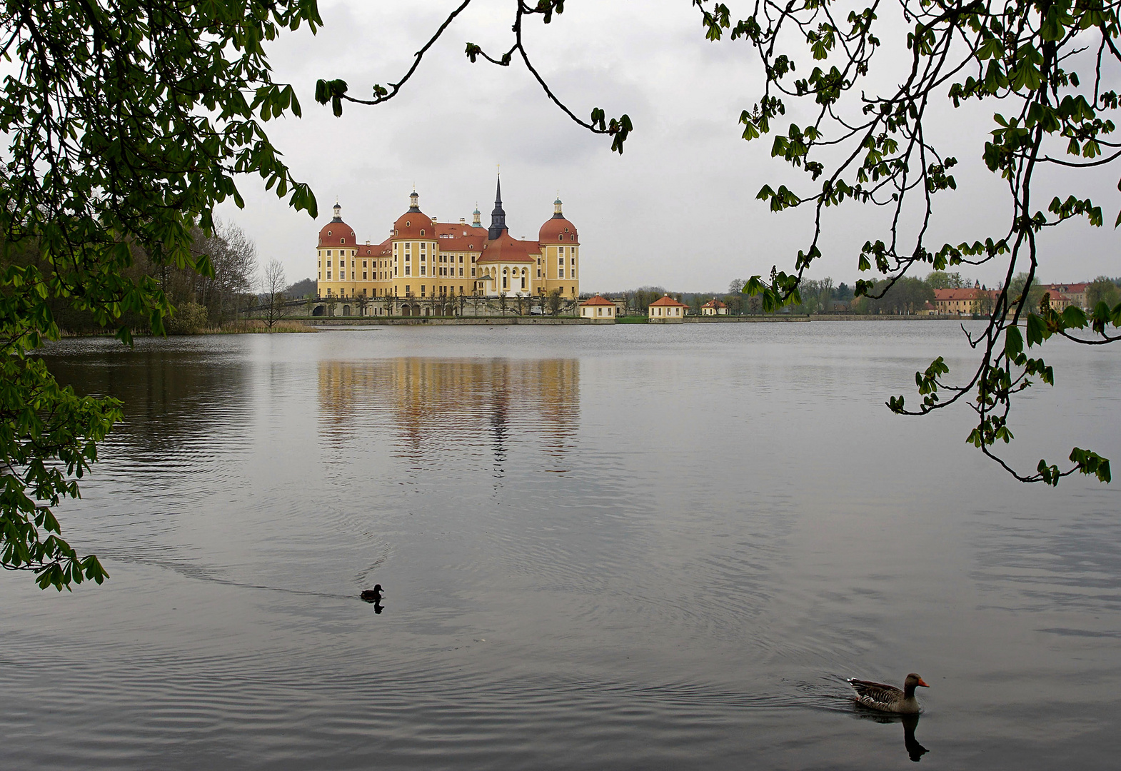 Schloss Moritzburg.