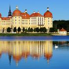 Schloss Moritzburg