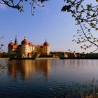 Schloss Moritzburg