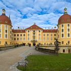 Schloß Moritzburg