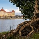 Schloss Moritzburg