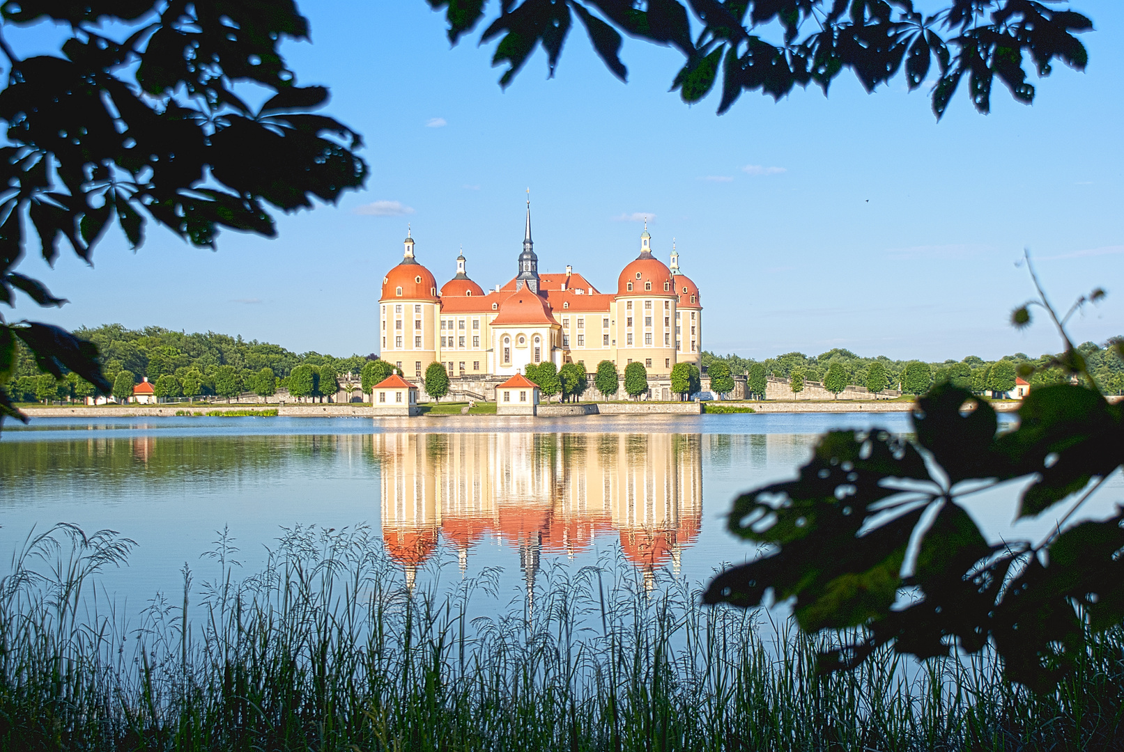 Schloss Moritzburg 