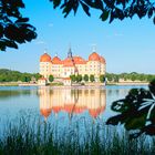 Schloss Moritzburg 