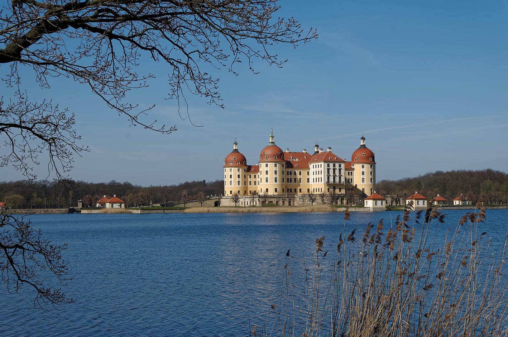 Schloss Moritzburg