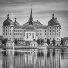 Schloss Moritzburg