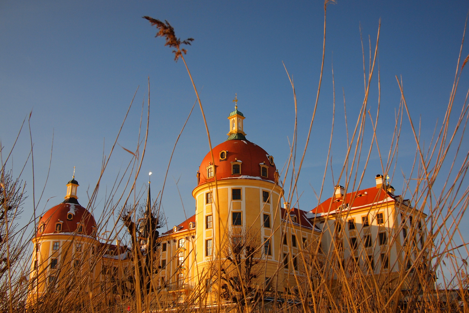 Schloss Moritzburg