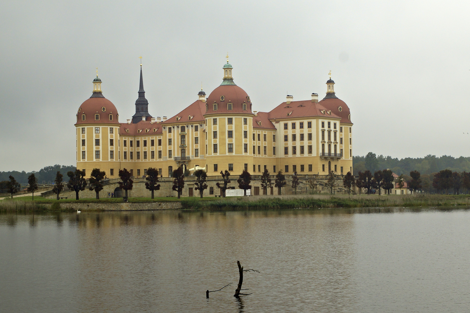 Schloss Moritzburg