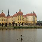 Schloss Moritzburg