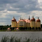 Schloss Moritzburg