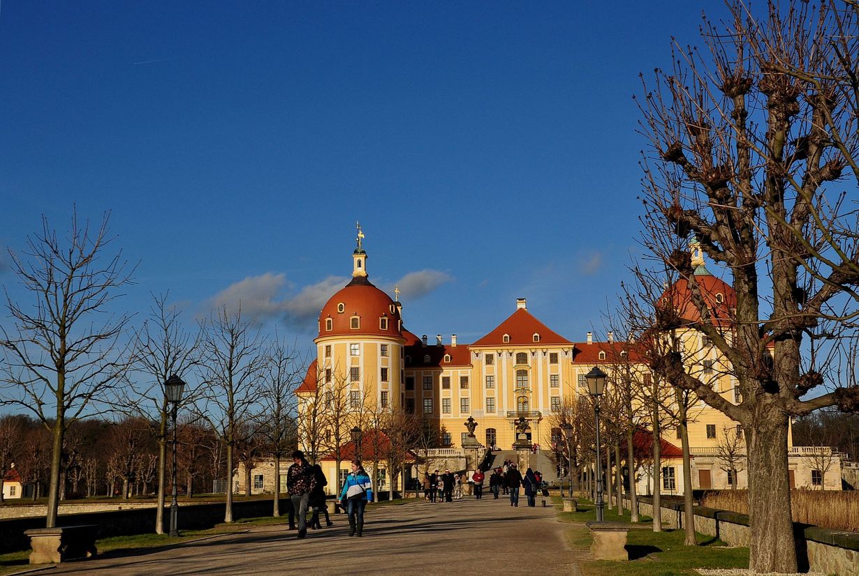 Schloss Moritzburg